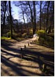 Woodland Bridge Path - woodland-bridge-path.jpg click to see this fine art photo at larger size